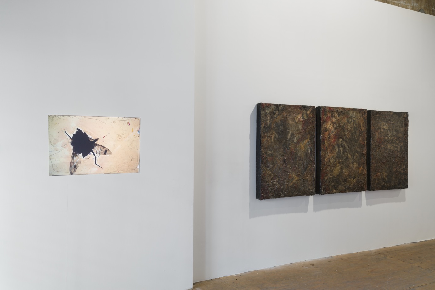 Luther Price, *The Years Made Flies*. Installation view