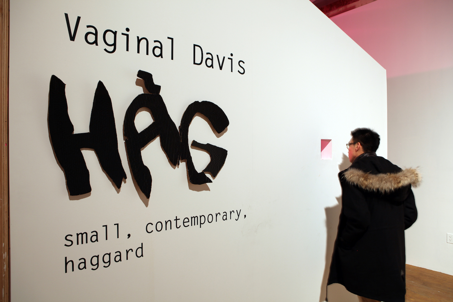 Vaginal Davis, *HAG – small, contemporary, haggard*. Installation view