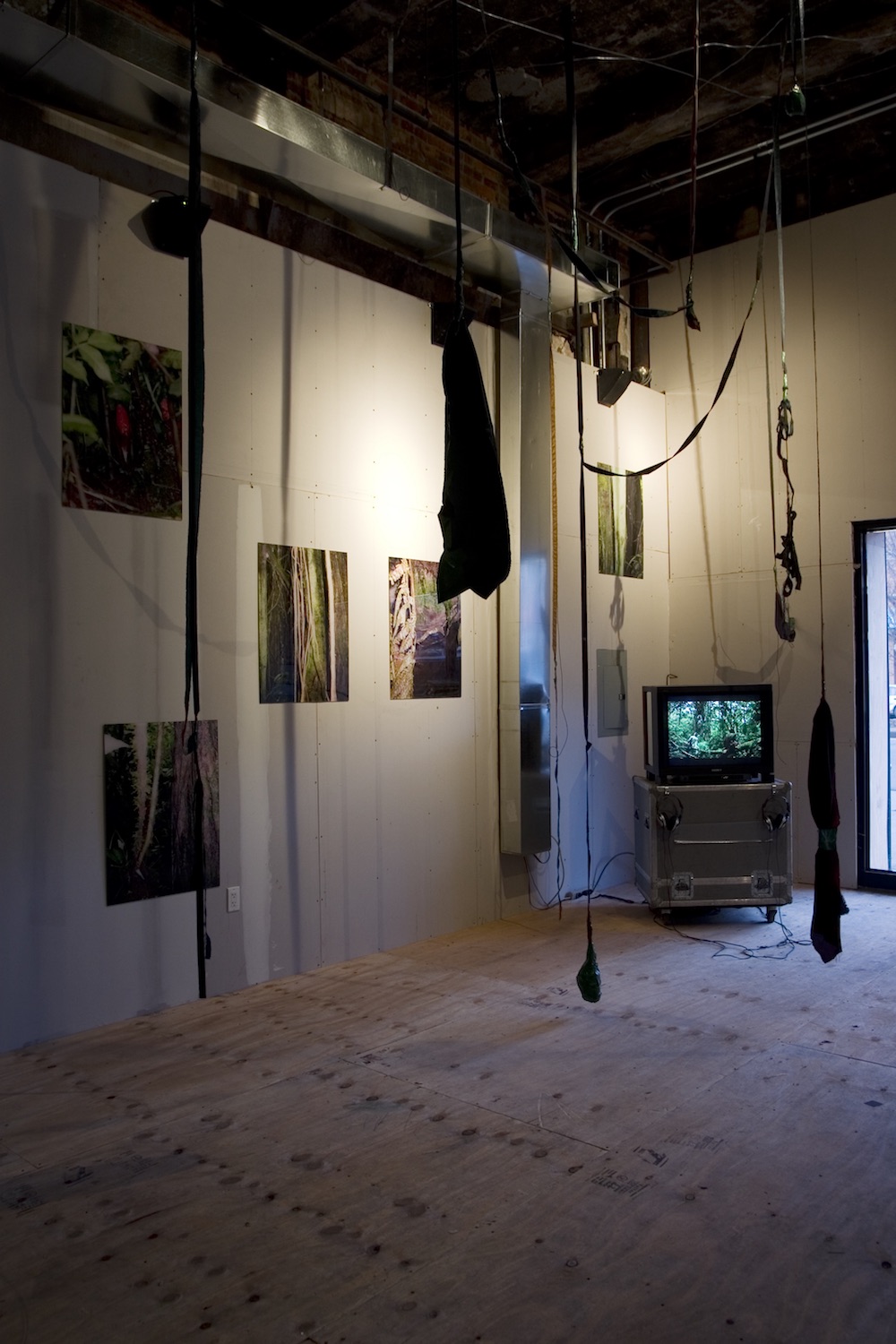 Frans and Frederik Jacobi, *THE SOUND OF TWO PLANTS FIGHTING FOR LIFE,* 2008. 16mm on DVD 16:16 minutes, photos and installation