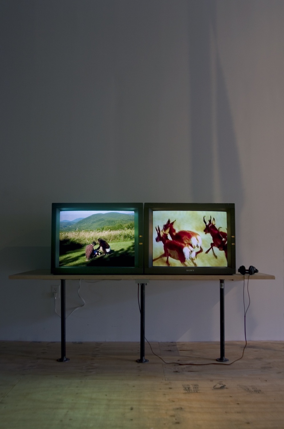 Laura Parnas, *Untitled (for Technically Sweet)*, 2008. Two channel video installation, 2:30 minutes
