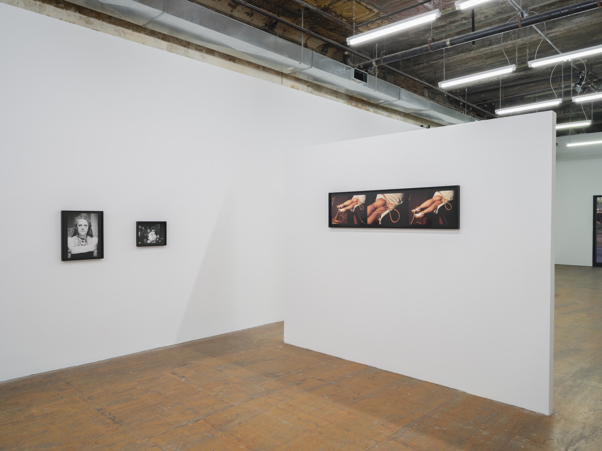 Marti Wilkerson, *The 4th Golden Cadillac*, 2022, installation view at Participant Inc, New York. Photo: Daniel Kukla