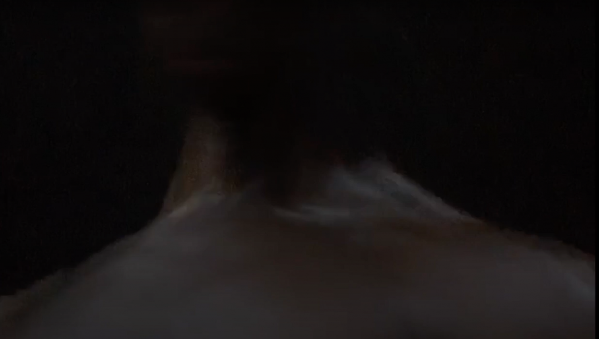 Raymond Pinto, *Shrine*, 2020. Video still, digital video, color, sound, 4:07 min.

[A close-cropped widescreen digital video image of the neck and shoulders of person seen from behind, slightly blurring and repeating against a black background.]