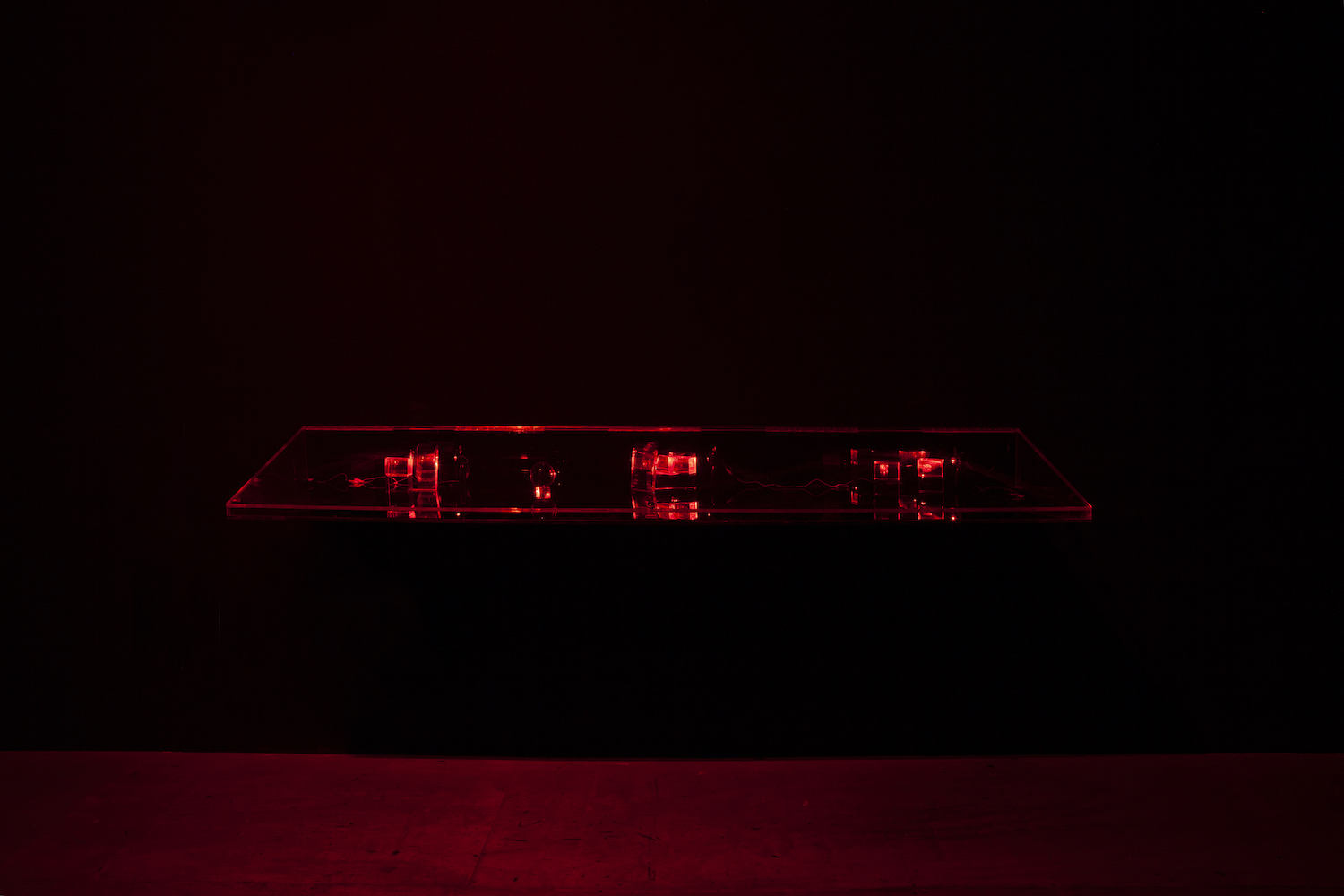 Constantina Zavitsanos, *Boxed Bet*, 2019. Transmission holograms, acrylic mounts, 5mW red laser. Installation view

[image description: A clear plexiglass display case is mounted on a black wall in a darkened space with wooden floor. Laser light glows from the display case. Its closed clear lid and sides slope down from back to front. Inside the case are three separate arrangements of holograms on dimensional clear acrylic mounts, as well as a single glass sphere, each lit by a red laser.]