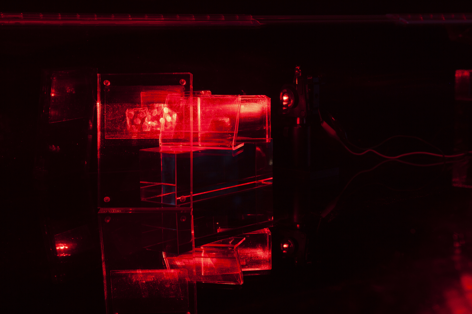 Constantina Zavitsanos, *Boxed Bet*, 2019. Transmission holograms, acrylic mounts, 5mW red laser. Detail view

[image description: Against a darkened black background, an arrangement of glowing red holograms on dimensional clear acrylic mounts. Holographic images of dice mid-roll are lit by a red laser in a scientific metal mount. The light reflects against the black plexiglass surface on which the holograms sit.]
