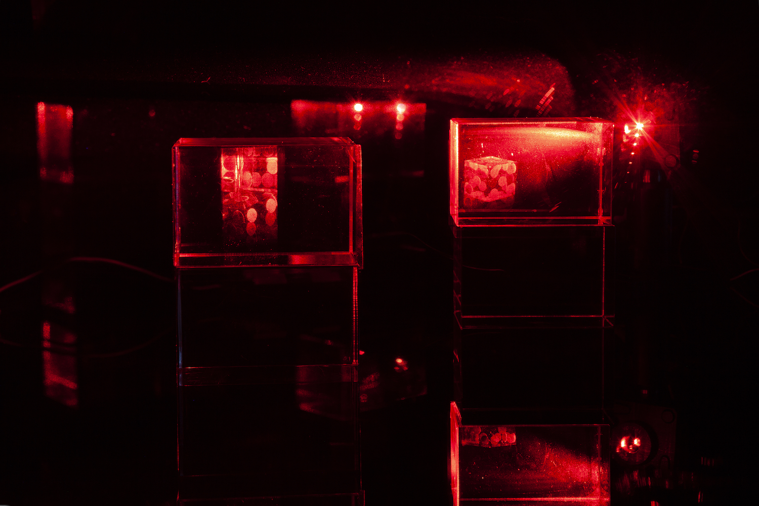 Constantina Zavitsanos, *Boxed Bet*, 2019. Transmission holograms, acrylic mounts, 5mW red laser. Detail view

[image description: Against a darkened black background, two glowing red holograms on dimensional clear acrylic mounts. Holographic images of dice mid-roll are lit by a red laser. The light reflects against the black plexiglass surface on which the holograms sit.]