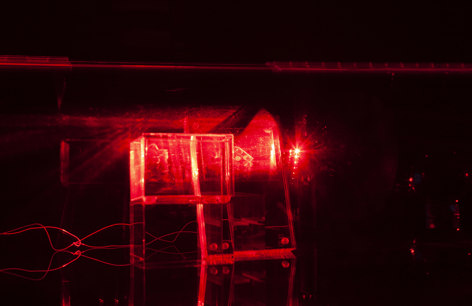 Constantina Zavitsanos, *Boxed Bet*, 2019. Transmission holograms, acrylic mounts, 5mW red laser. Detail view