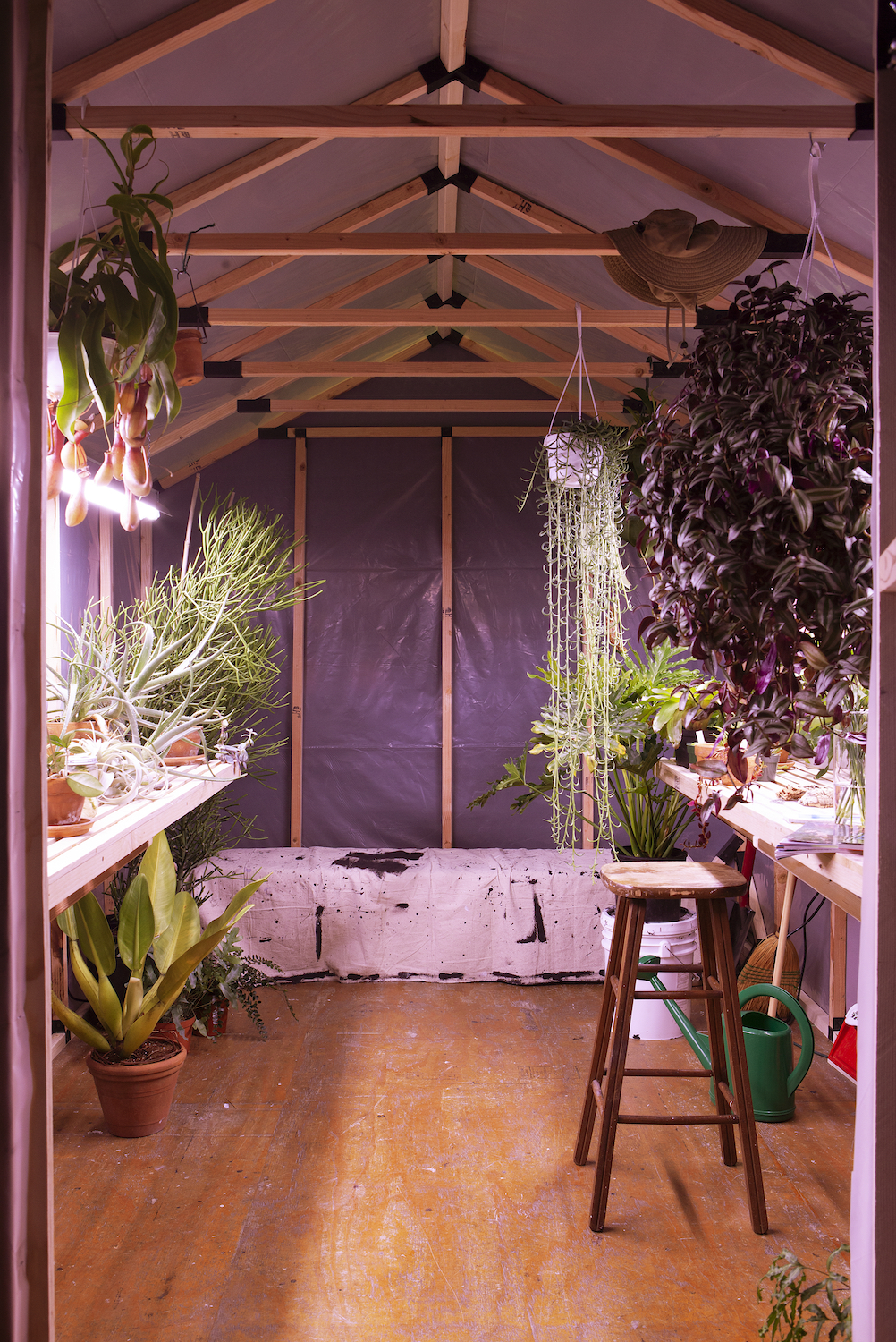 Conrad Ventur, *pavilion*, 2020. Greenhouse, plants 