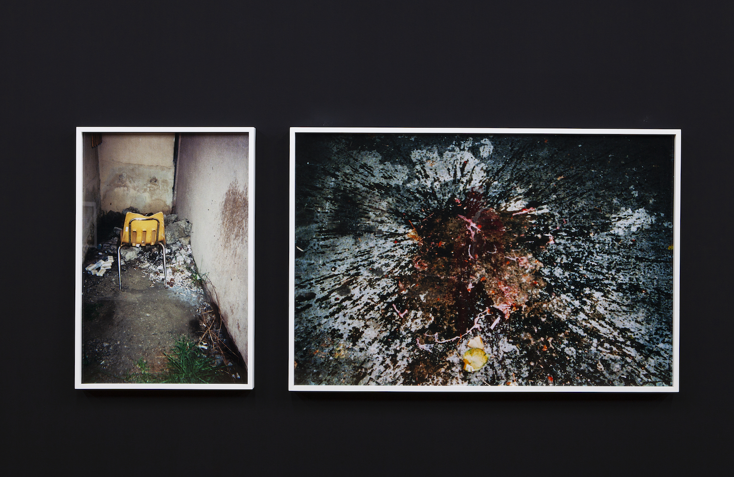 Dash Snow, *The Drowned World: Selections from the Dash Snow Archive*. Installation view