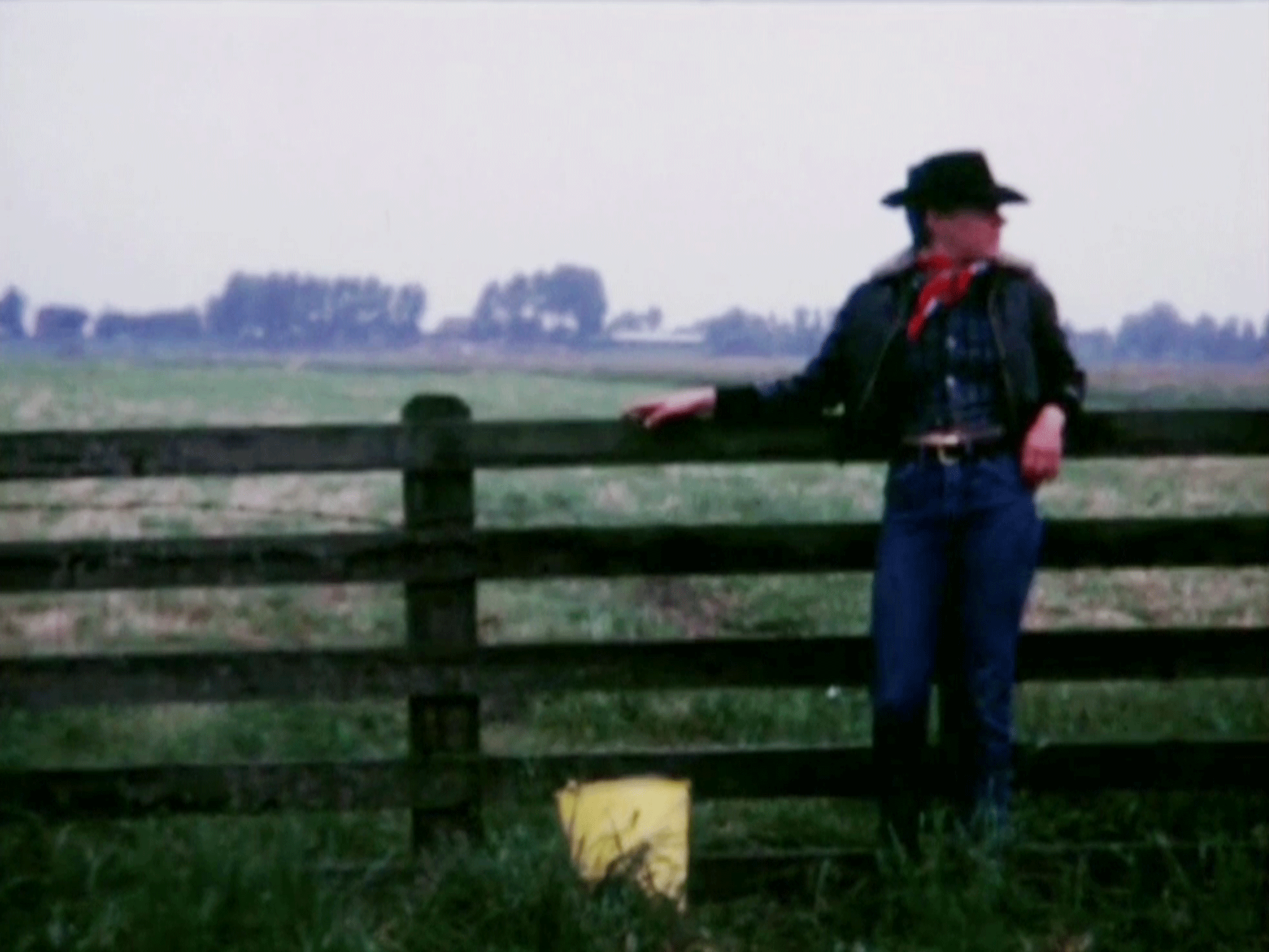 Marja Samsom, *Busy with Cows*, 1974. Super-8 movie, digitized