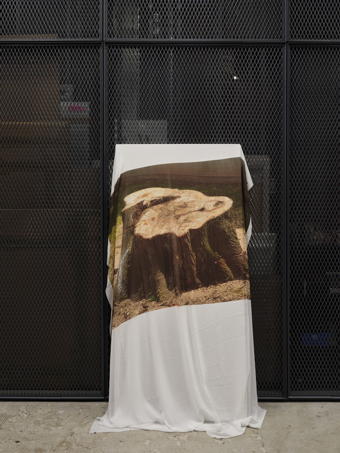 *arms ache avid aeon: Nancy Brooks Brody / Joy Episalla / Zoe Leonard / Carrie Yamaoka: fierce pussy amplified: Chapter Eight*, Curated by Jo-ey Tang, 2025, installation view at Participant Inc, NYC, pictured: Carrie Yamaoka,* Stump 3*, 2024, digital inkjet print on synthetic chiffon, wood panel. Photos by Studio Kukla