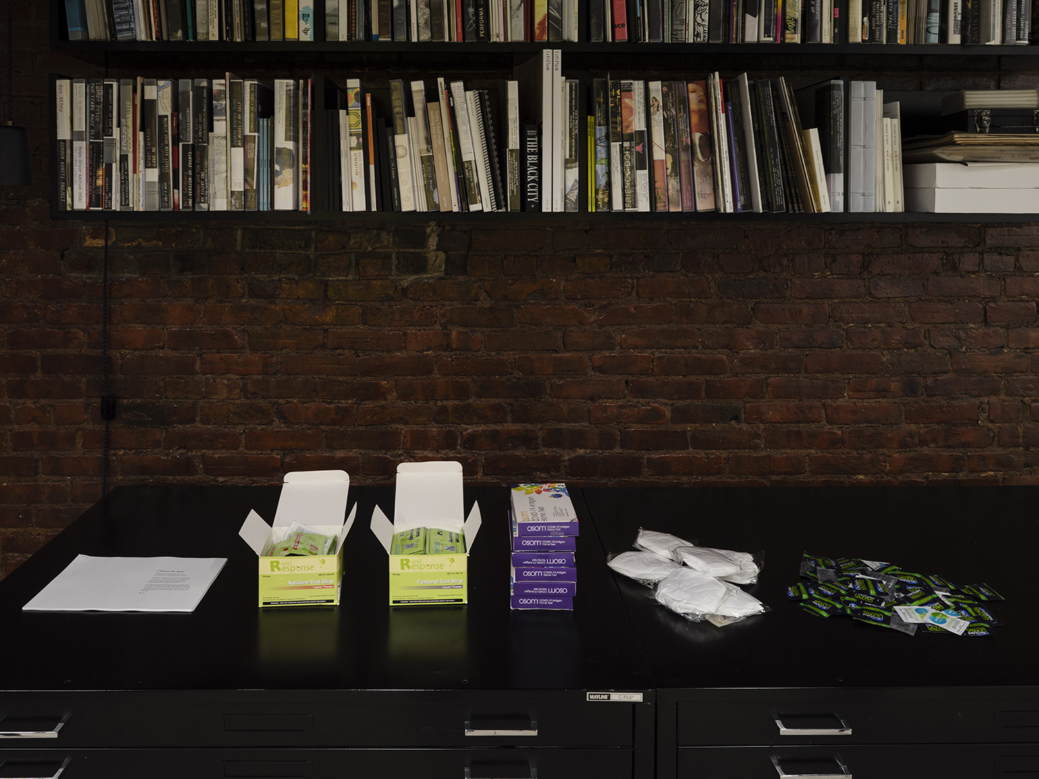 Chloe Dzublio, *The Prince George Drawings*, curated by Alex Fleming and Nia Nottage, installation view at Participant Inc, NYC. Photos by Studio Kukla