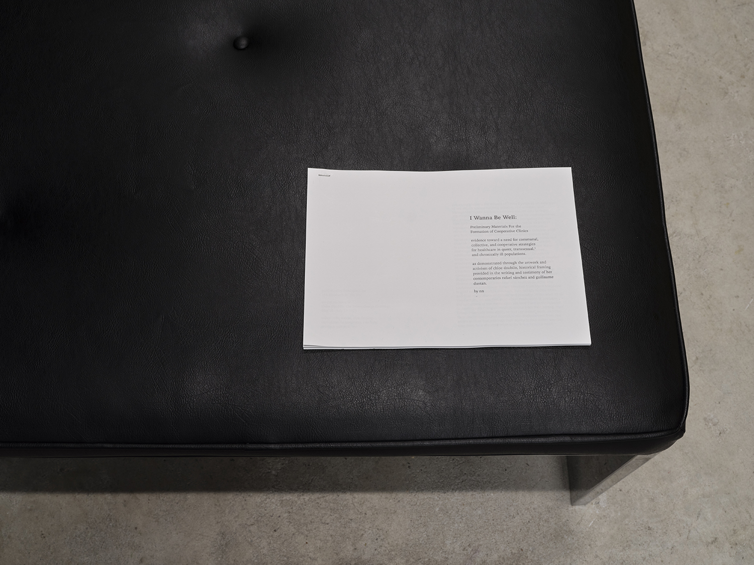 Chloe Dzublio, *The Prince George Drawings*, curated by Alex Fleming and Nia Nottage, installation view at Participant Inc, NYC, pictured: *I Wanna Be Well: Preliminary Materials for the Formation of Cooperative Clinics*, by Nia Nottage, published by Participant Inc on the occasion of *Chloe Dzublio, The Prince George Drawings*, editor: Tyler Morse, Alex Fleming, designer Ryan Harman, printing Publicide Inc. Photos by Studio Kukla