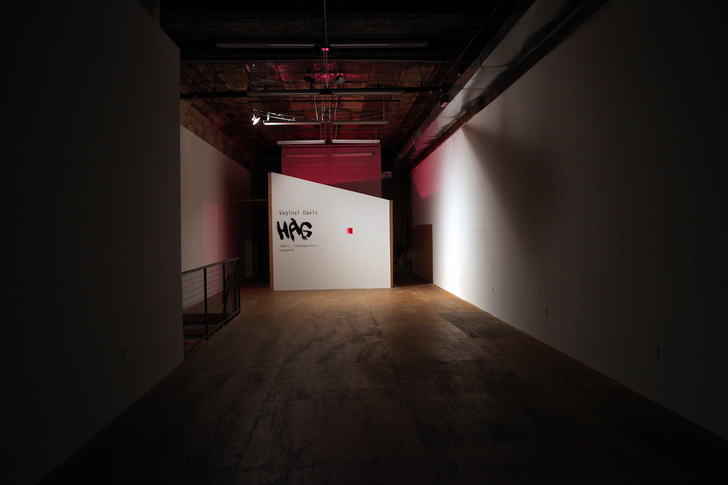 Vaginal Davis, *HAG – small, contemporary, haggard, *Installation view