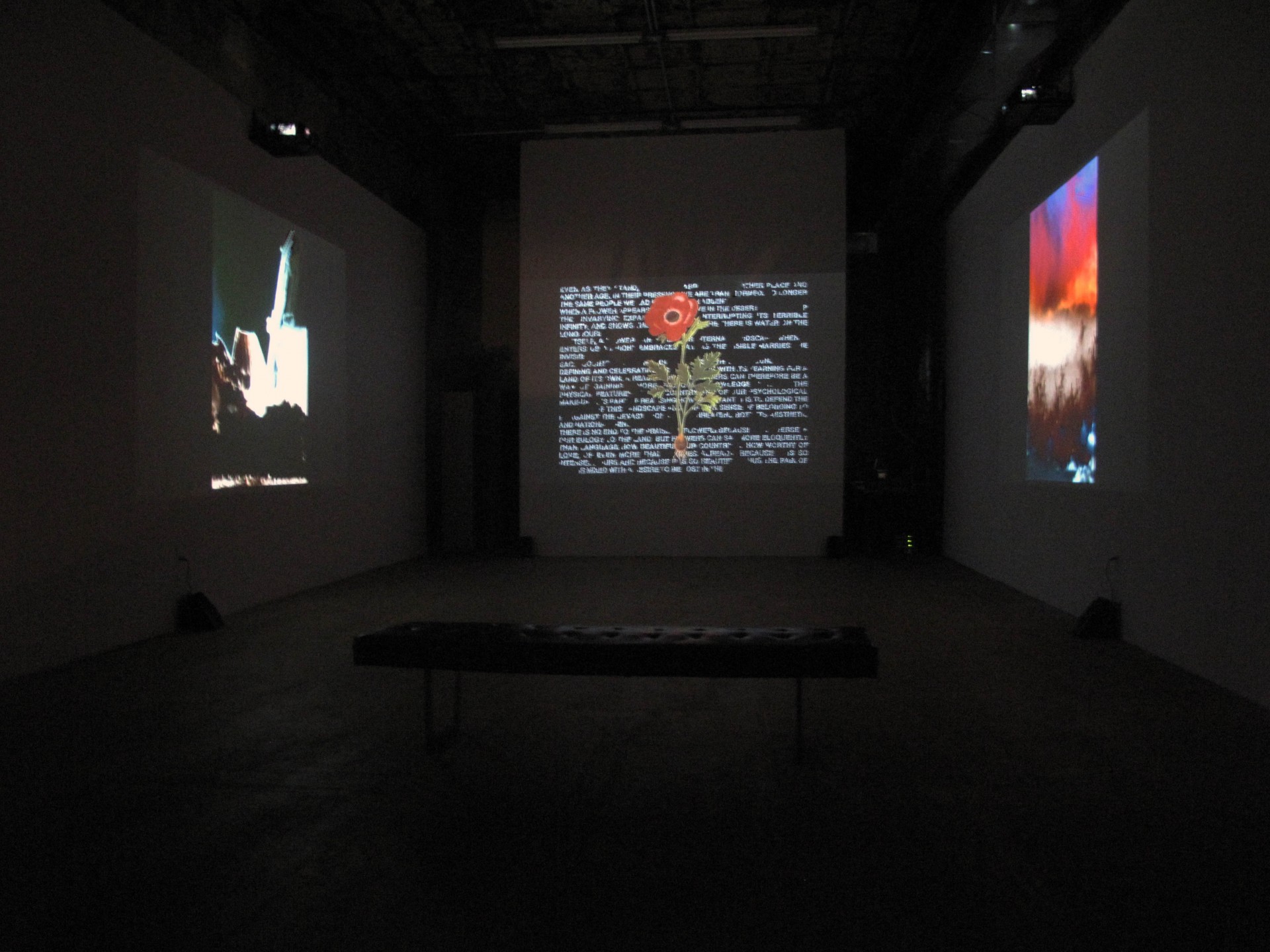 Ottonella Mocellin / Nicola Pellegrini, *With the occasional rainbow visiting*. Installation view