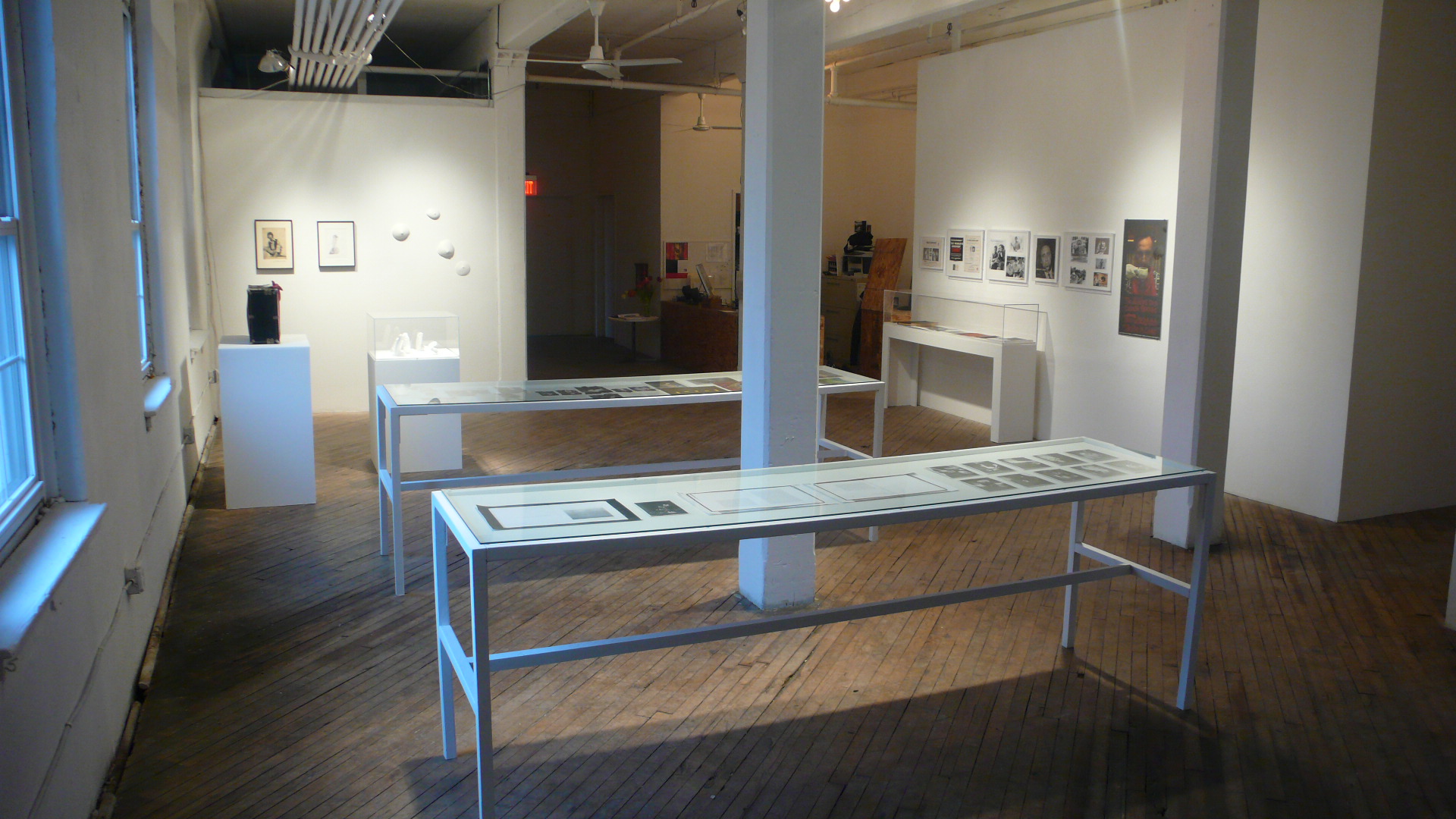 *Dead Flowers *. Installation View at Vox Populi Philadelphia