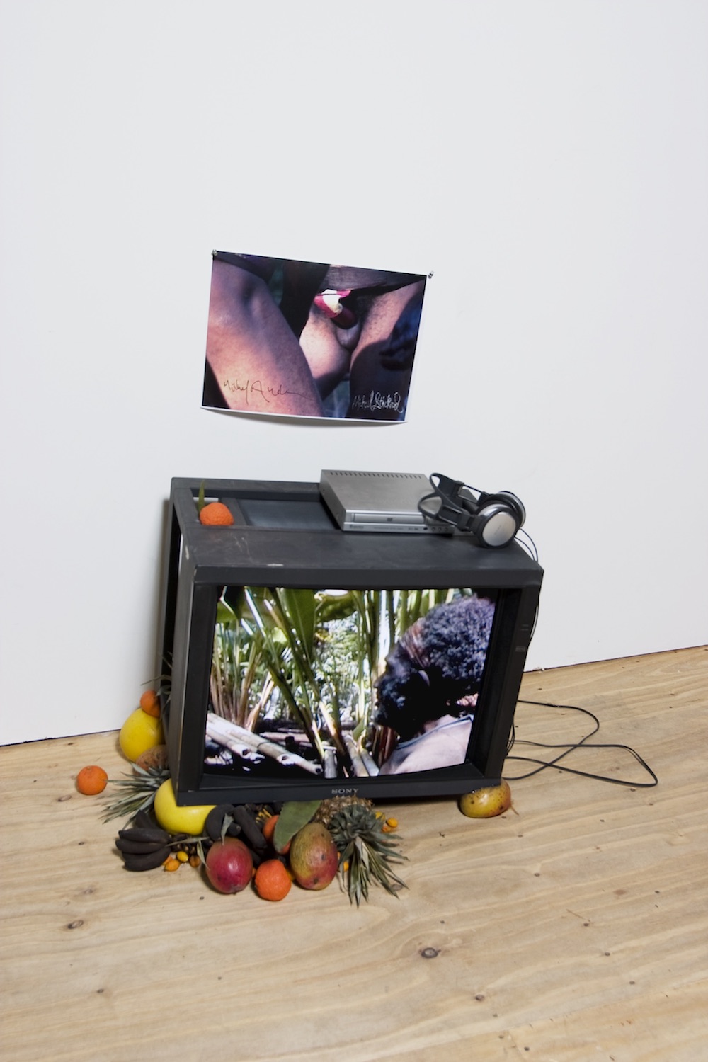 Michel Auder and Michael Stickrod, *TechnicallySweetStickrodAuder*, 2008. DVD, 24 minutes, installation