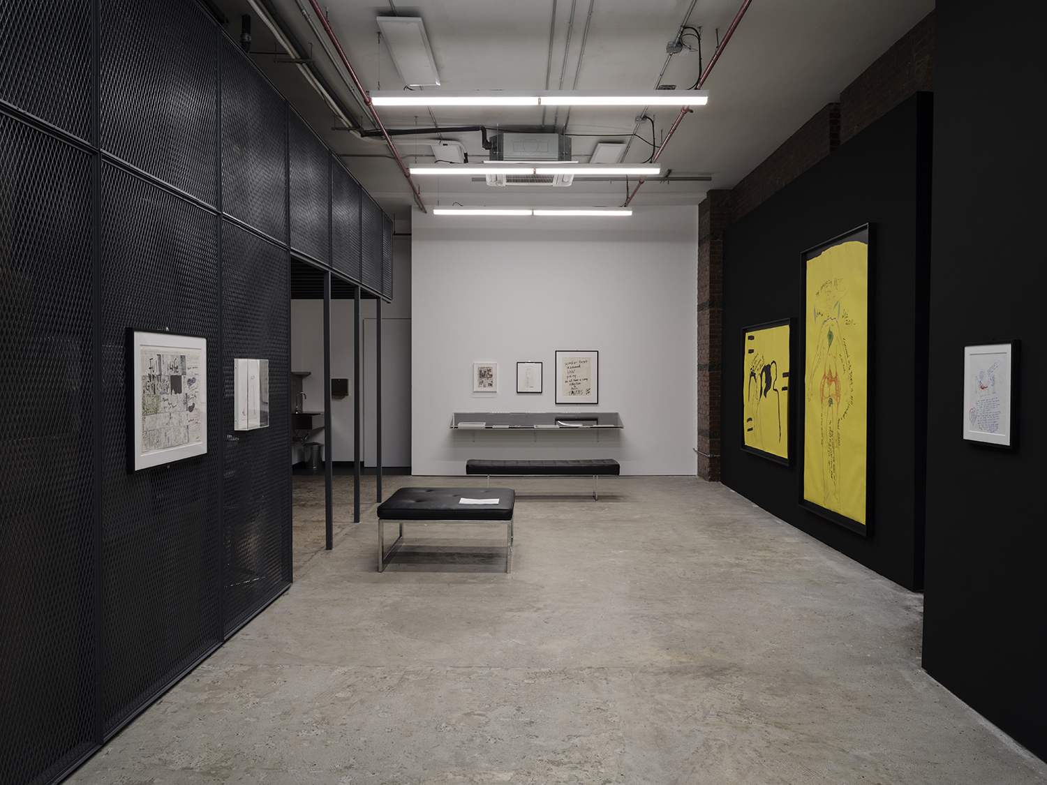 Chloe Dzublio, *The Prince George Drawings,* curated by Alex Fleming and Nia Nottage, installation view at Participant Inc, NYC, Photos by Studio Kukla