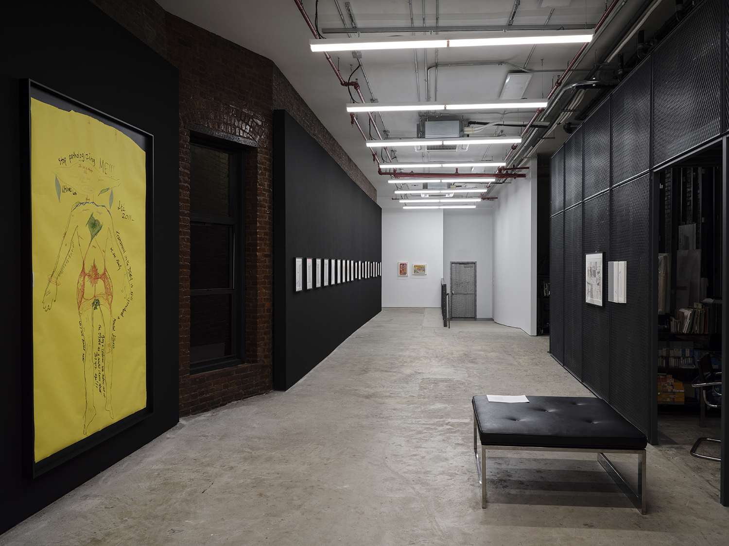 Chloe Dzublio, *The Prince George Drawings,* curated by Alex Fleming and Nia Nottage, installation view at Participant Inc, NYC, Photos by Studio Kukla