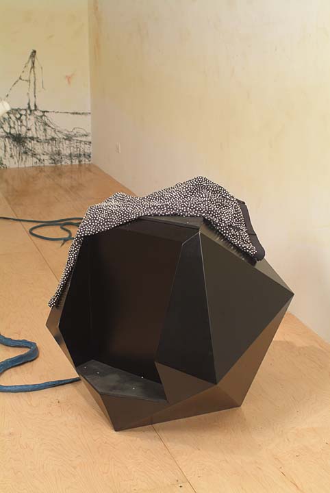 Rachel Lowther, *Castle Spike*, 2003. Installation view at Participant Inc, New York.