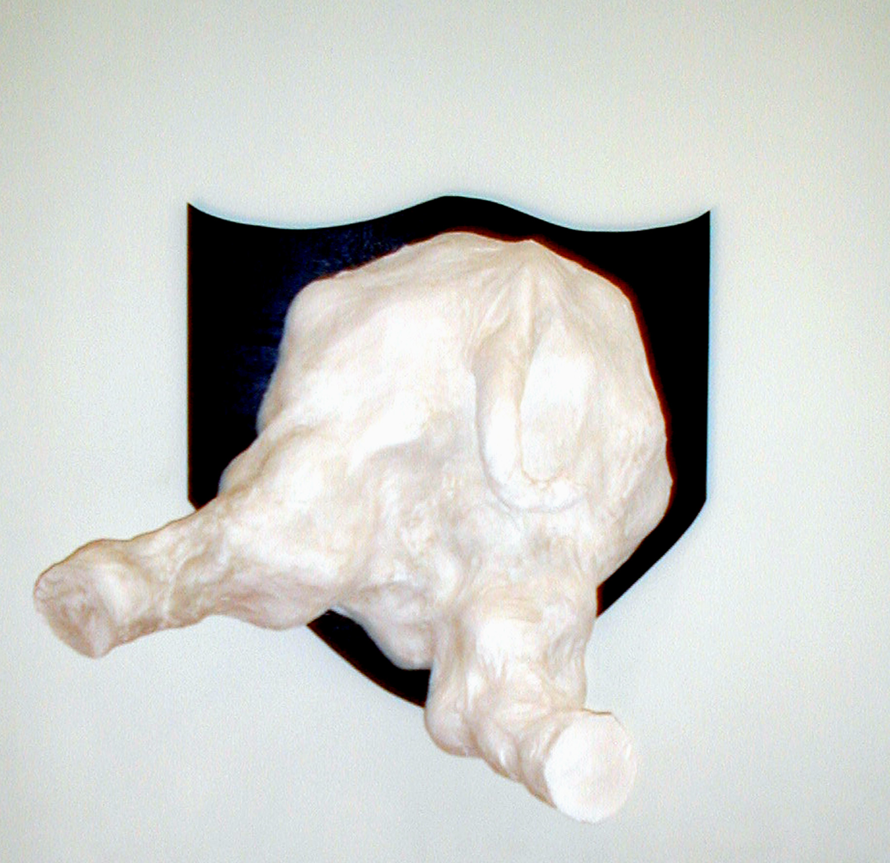 Lisa Kirk, *The Greatest Show on Earth*, 2003. Installation view at Participant Inc, New York.   