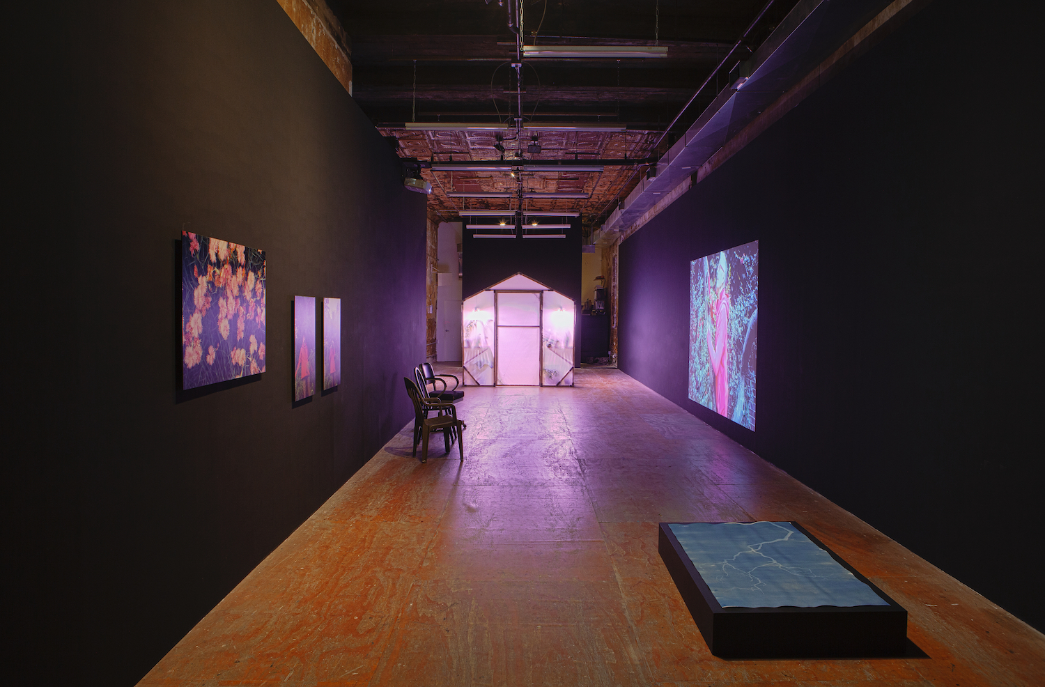 Conrad Ventur, *A green new deal*, installation view