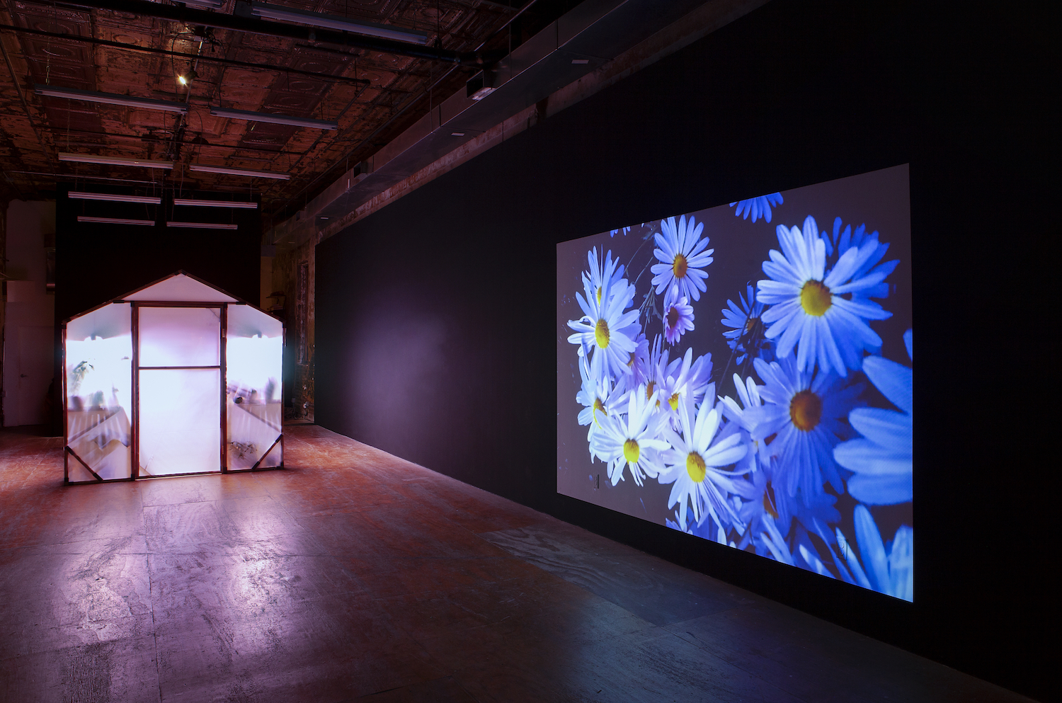 Conrad Ventur, *A green new deal*, installation view