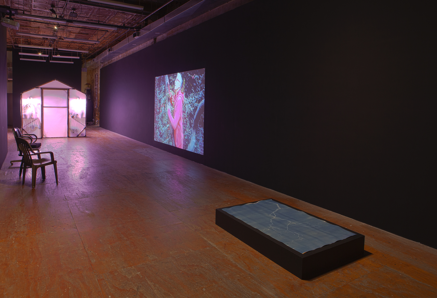 Conrad Ventur, *A green new deal*, installation view