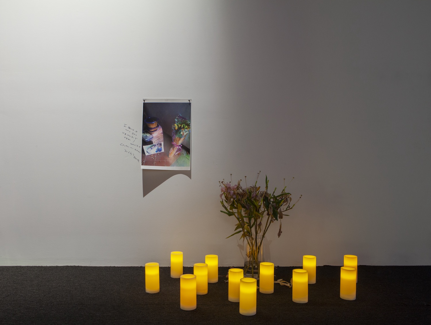 Lyle Ashton Harris, *AKA Daddy*. Installation view