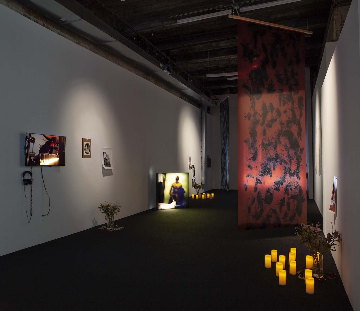 Lyle Ashton Harris, *AKA Daddy*. Installation view